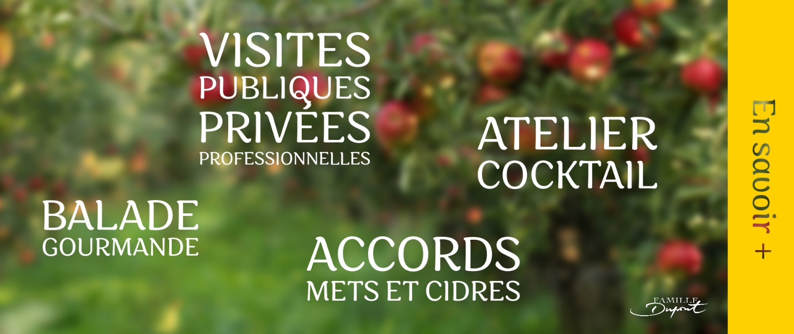 Visites au domaine - cidres et calvados